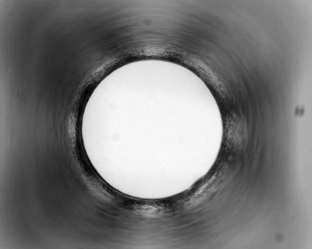 X0000103450542200810101130