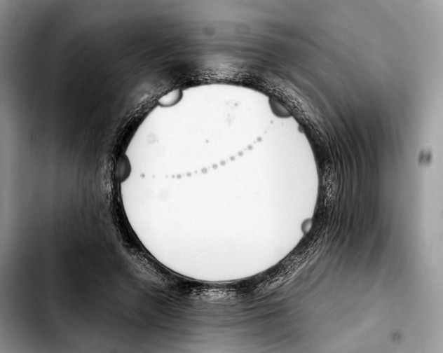 X0000103450546200810101130