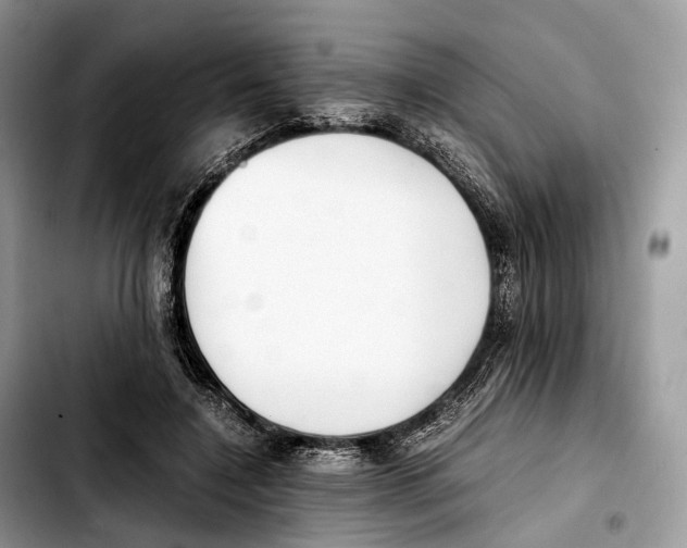 X0000103450548200810101130