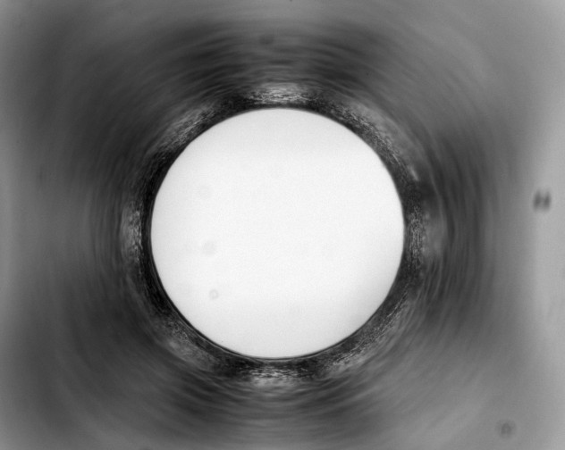 X0000103450549200810101130