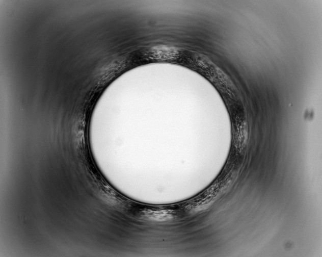 X0000103450553200810101130