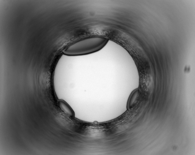 X0000103450556200810101130