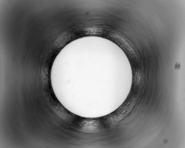 X0000103450557200810101130