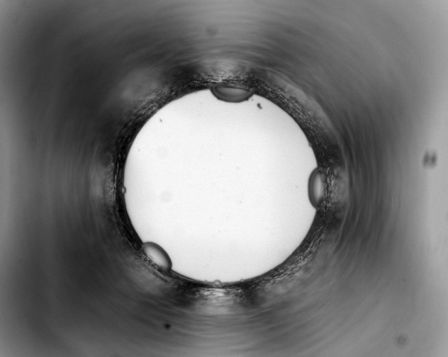 X0000103450558200810101130