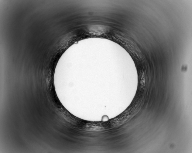 X0000103450559200810101130