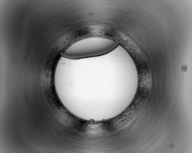 X0000103450560200810101130