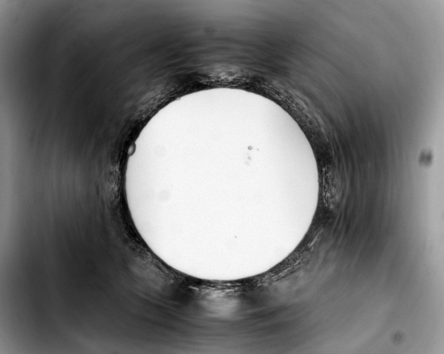 X0000103450563200810101130