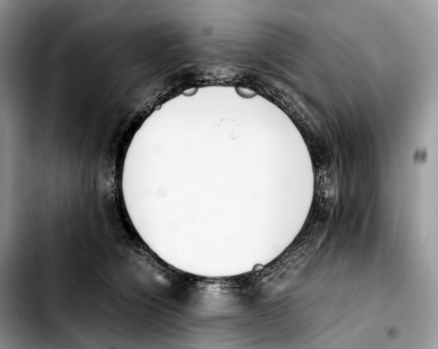 X0000103450564200810101130