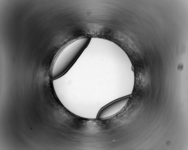 X0000103450566200810101130