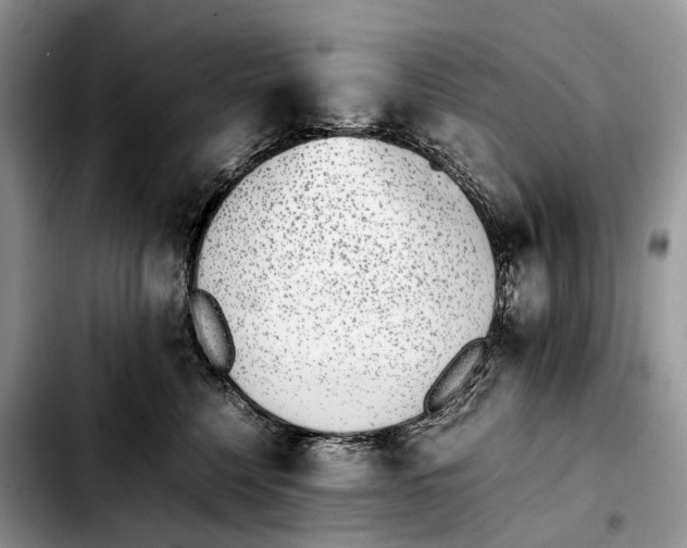 X0000103450568200810101130