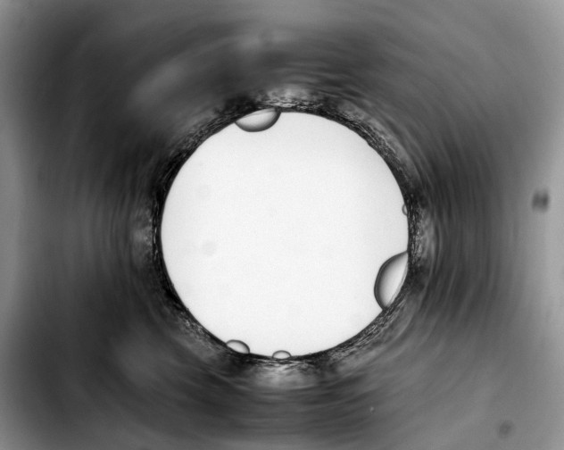 X0000103450569200810101130