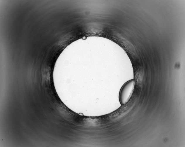 X0000103450570200810101130