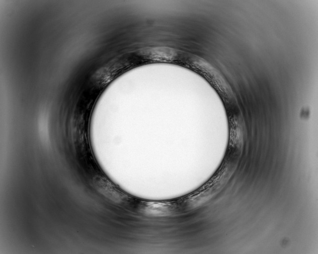 X0000103450573200810101130