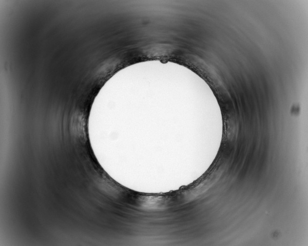 X0000103450575200810101130