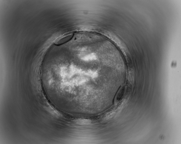 X0000103450577200810101129