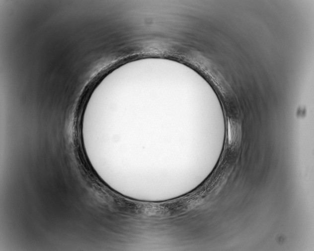 X0000103450579200810101129