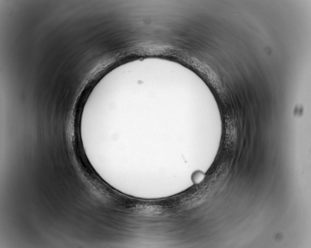 X0000103450582200810101129