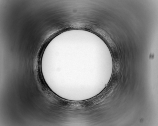 X0000103450583200810101129