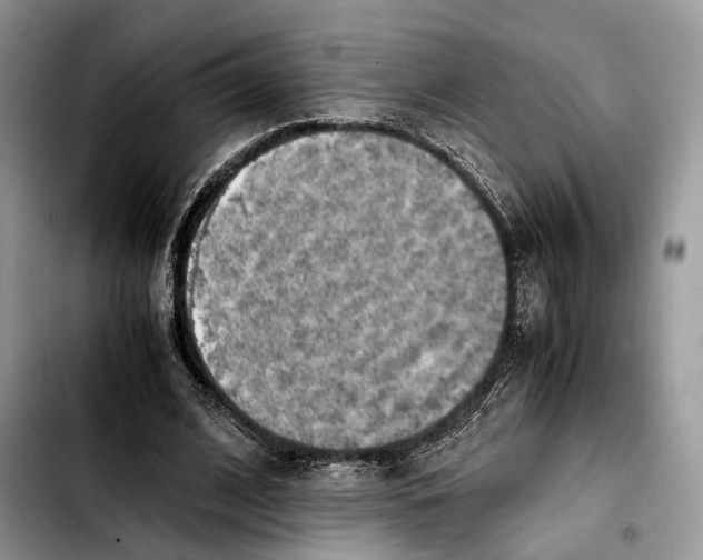 X0000103450584200810101129