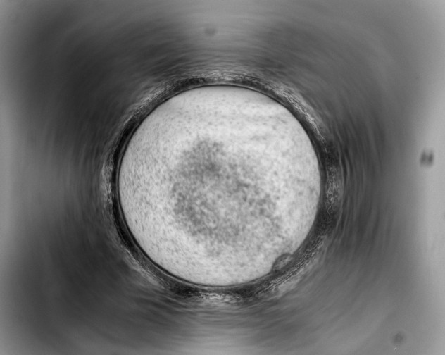 X0000103450585200810101129