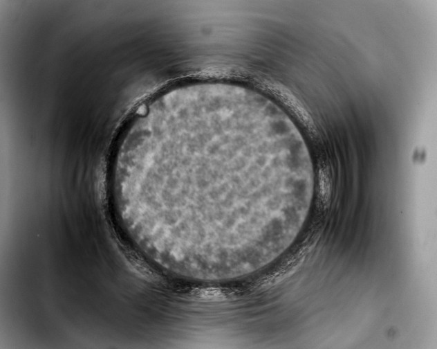 X0000103450588200810101129