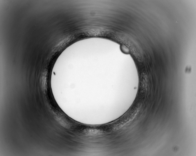 X0000103450590200810101129