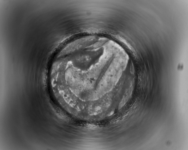 X0000103450592200810101129