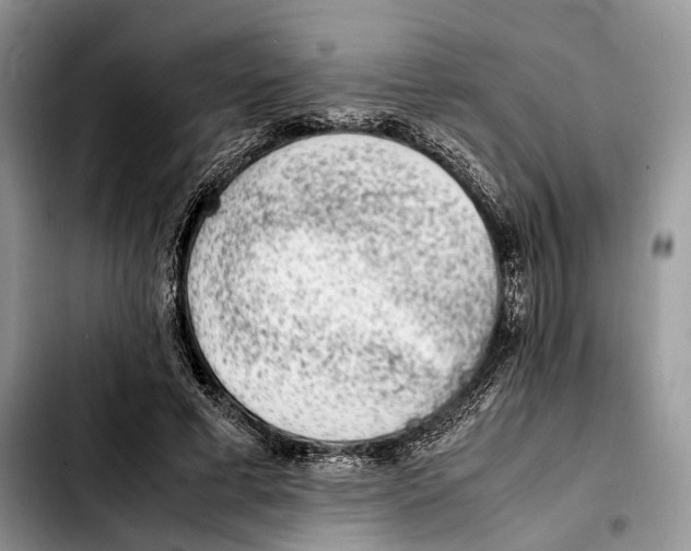 X0000103450593200810101129