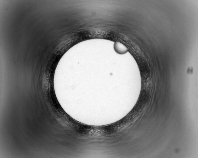 X0000103450599200810101129