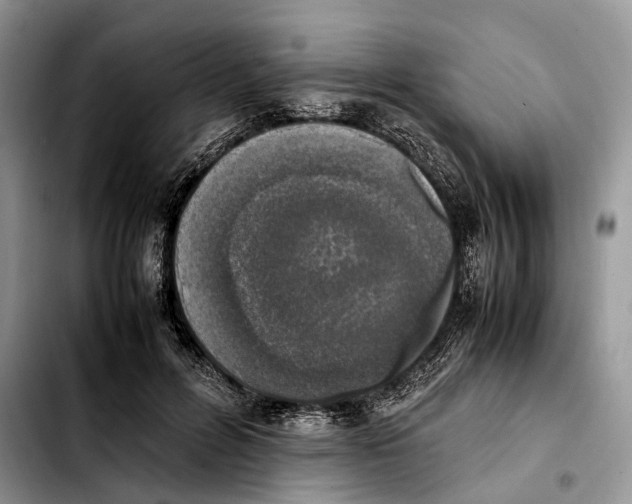 X0000103450600200810101129