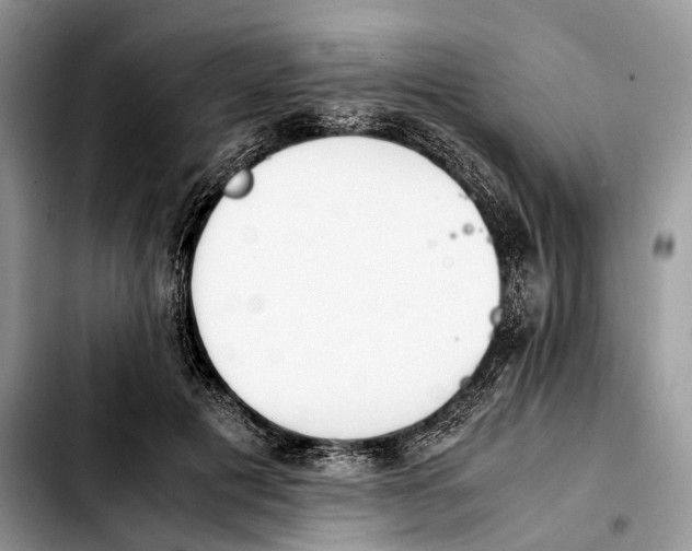 X0000103450601200810101129