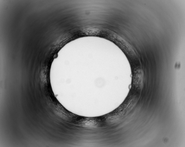 X0000103450604200810101129