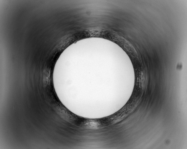 X0000103450610200810101129