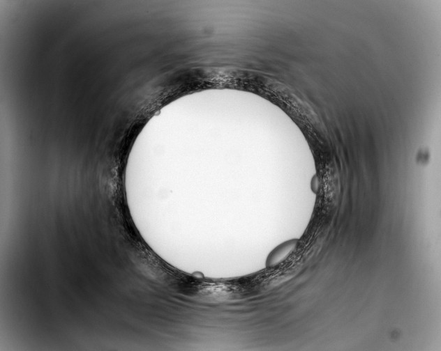 X0000103450611200810101129