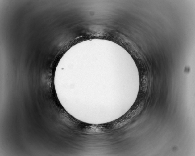 X0000103450612200810101129