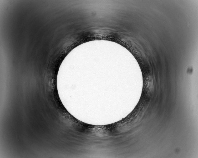 X0000103450615200810101129