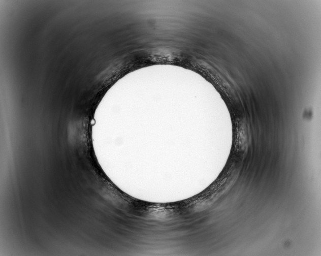 X0000103450616200810101129