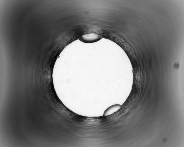 X0000103450617200810101129