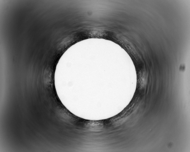 X0000103450619200810101129