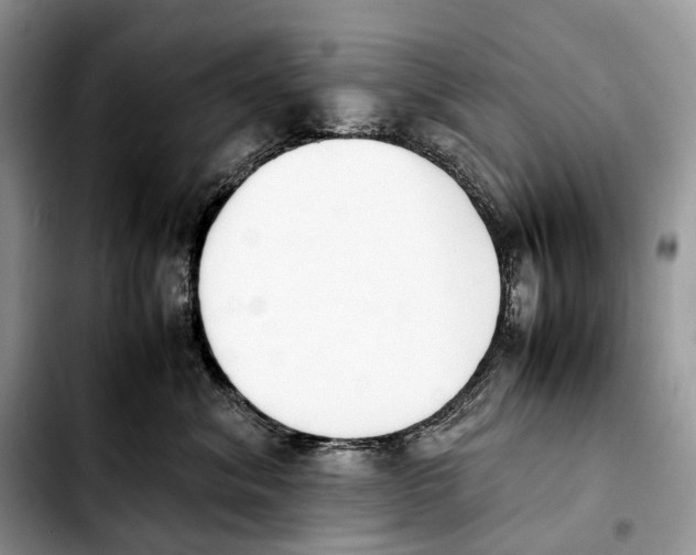 X0000103450620200810101129