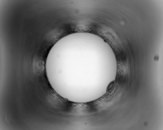 X0000103450621200810101129