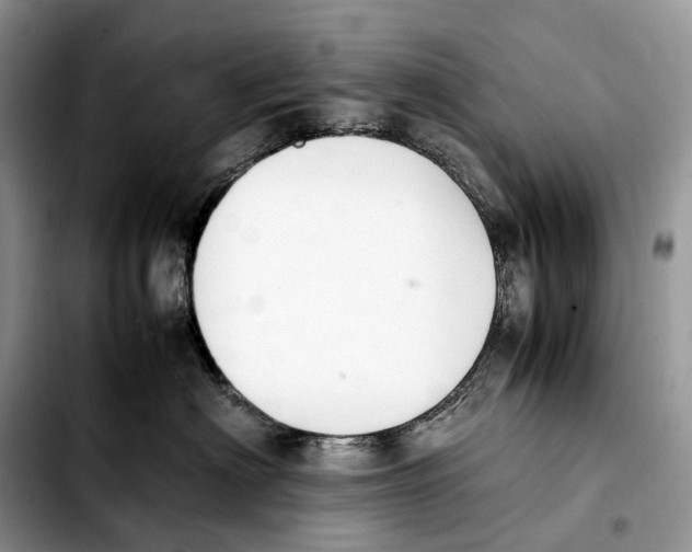 X0000103450622200810101129