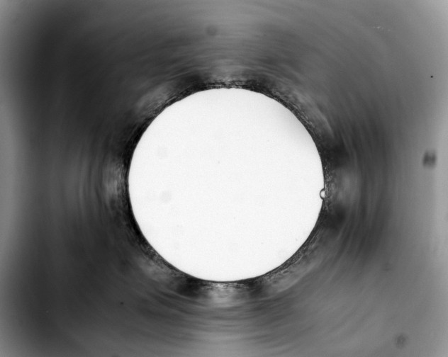 X0000103450623200810101129