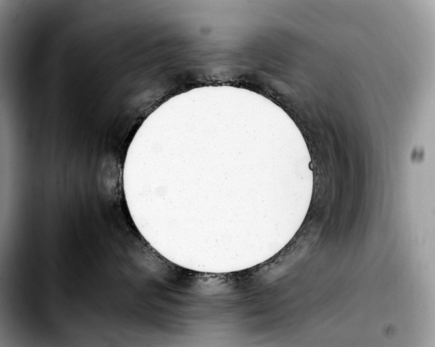 X0000103450624200810101129