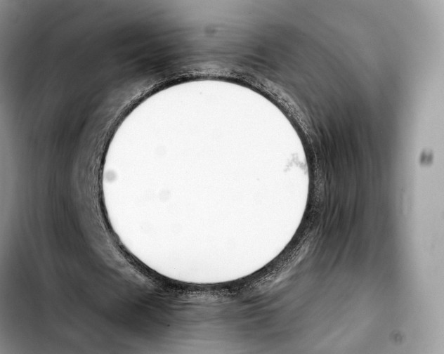 X0000103450625200810101128