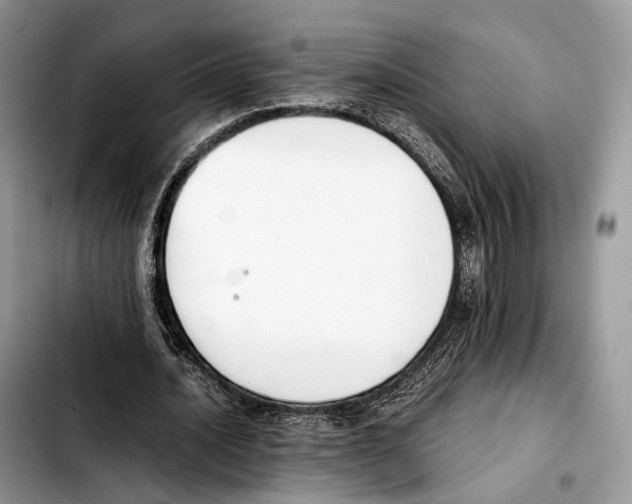 X0000103450628200810101128