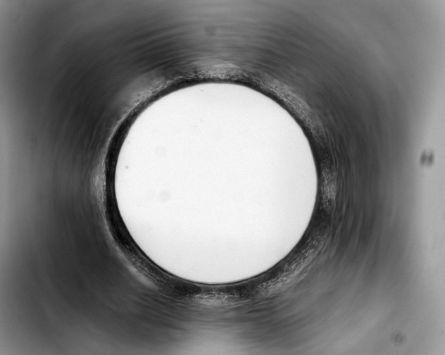 X0000103450630200810101128