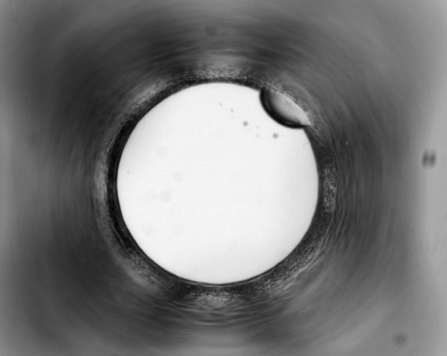 X0000103450631200810101128