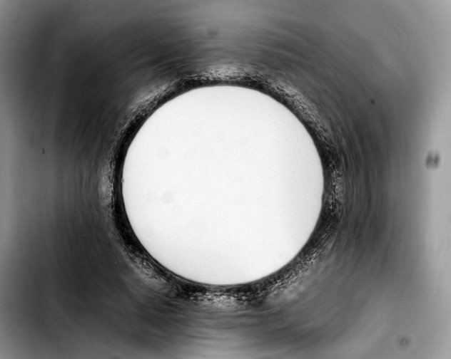 X0000103450640200810101128