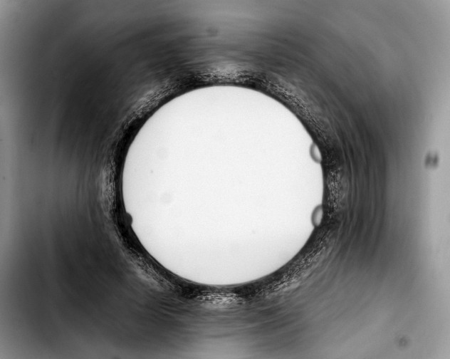 X0000103450642200810101128